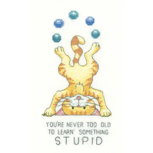 Never Too Old cross stitch chart - Peter Underhill