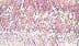Opalescent Light Pink GlissenGloss Estaz Thread ES36