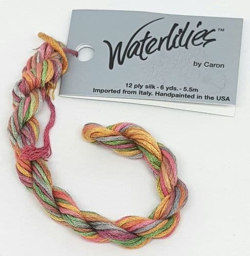 Painted Desert 093 Caron Waterlilies