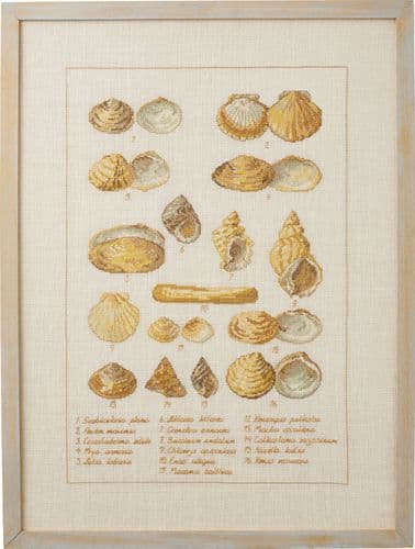 Permin Seashell Sampler Counted Cross Stitch Kit