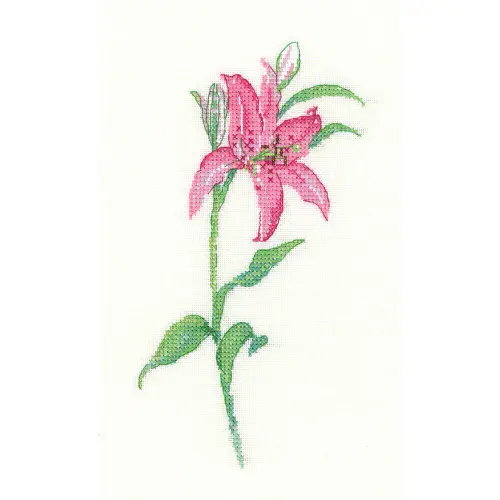 Pink Lily cross stitch chart Sue Hill