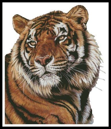 Power and Grace (No Background) by Artecy printed cross stitch chart