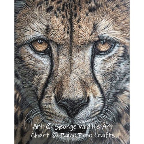 Predatory Intent (Cheetah) by Paine Free Crafts printed cross stitch chart