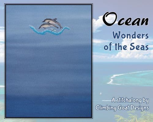 Project Pack for Ocean Wonders of the Seas  from Climbing Goat Designs