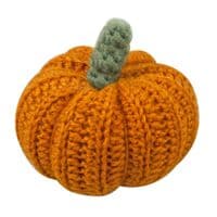 Pumpkin Crochet Kit