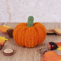Pumpkin Crochet Kit
