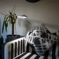 PURElite LED Magnifying 4-in-1 Crafters Lamp - European