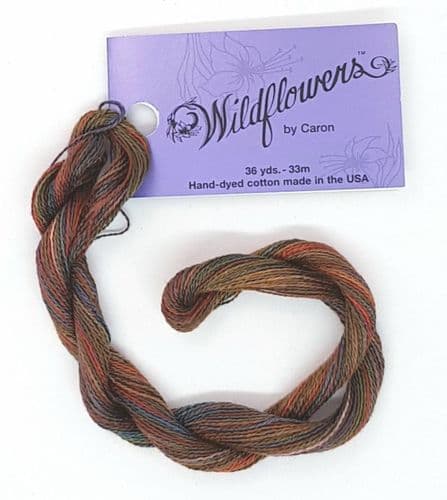 Rainforest 168 Caron Wildflowers