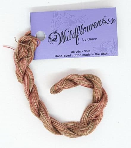 Raspberry Sherbet 035 Caron Wildflowers