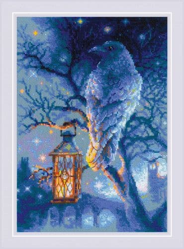 RIOLIS Wise Raven Counted Cross Stitch Kit