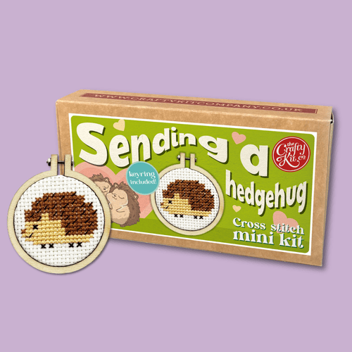 Sending a Hedgehug Matchbox Mini Cross Stitch Kit