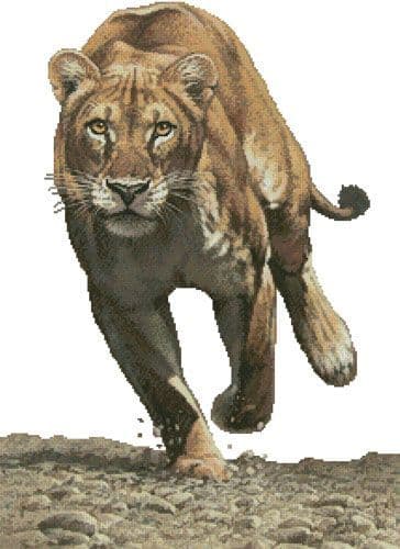 Shaya (No Background) by Artecy printed cross stitch chart