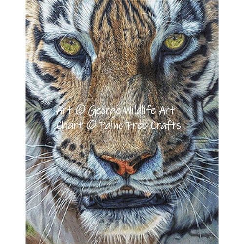 Shikari (Tiger) by Paine Free Crafts printed cross stitch chart