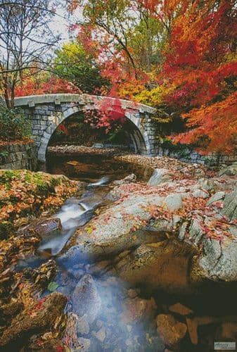 Small Stone Bridge (Large) by Artecy printed cross stitch chart