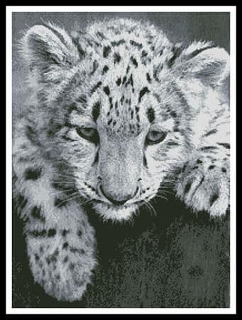 Snow Leopard Cub by Artecy printed cross stitch chart