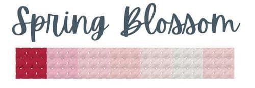 Spring Blossom DMC thread skein pack