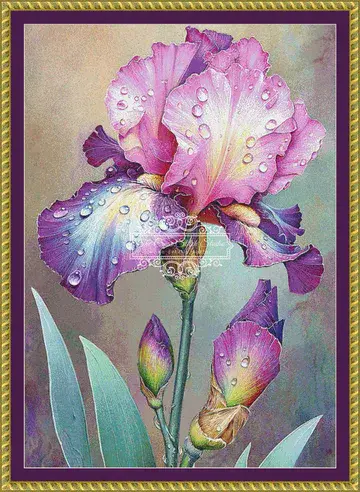 The Cross Stitch Studio Colourful Flowers Iris printed cross stitch chart