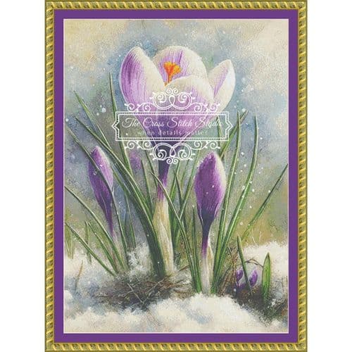 The Cross Stitch Studio Crocus In The Snow printed cross stitch chart