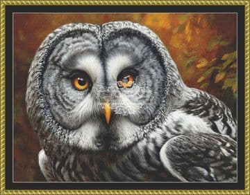 The Cross Stitch Studio Great Gray Owl printed cross stitch chart