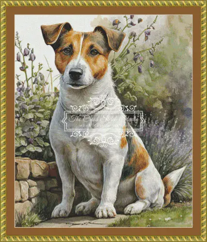 The Cross Stitch Studio Jack Russell Portrait  printed cross stitch chart