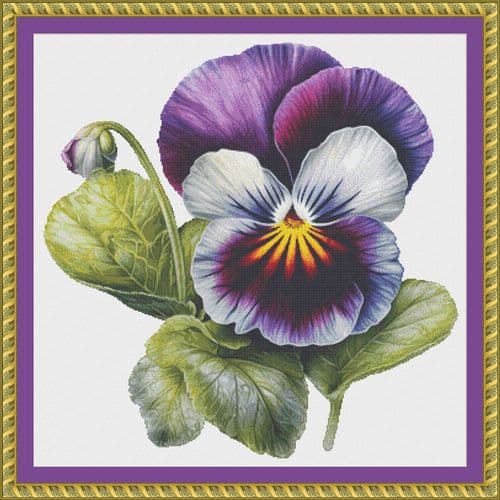 The Cross Stitch Studio Purple Pansy printed cross stitch chart