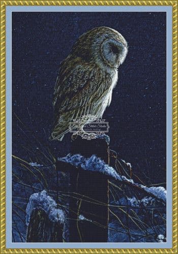 The Cross Stitch Studio Silent Night Barn Owl Crop printed cross stitch chart
