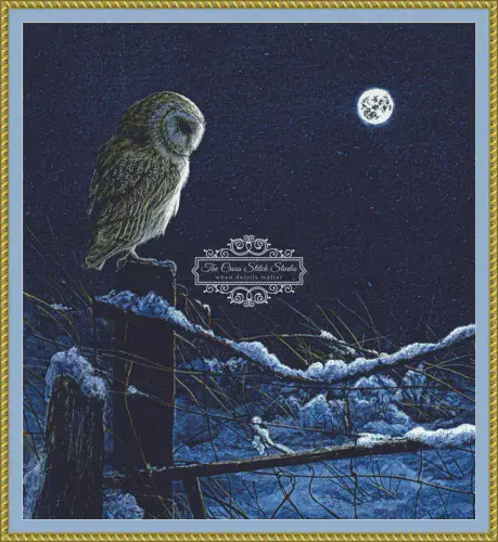 The Cross Stitch Studio Silent Night Barn Owl printed cross stitch chart