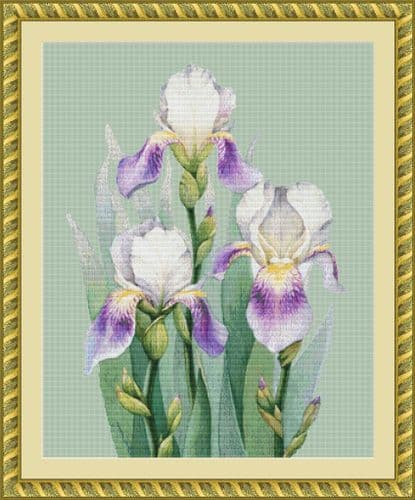 The Cross Stitch Studio Trio of Irises Mini printed cross stitch chart