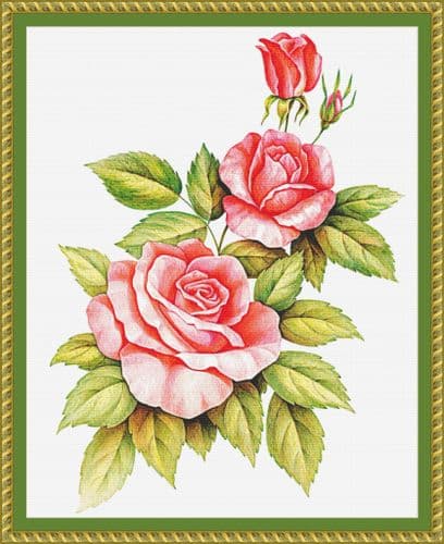 The Cross Stitch Studio Trio of Roses printed cross stitch chart