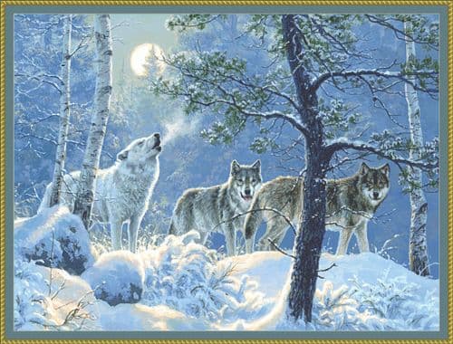 The Cross Stitch Studio Under the Moonlight printed cross stitch chart