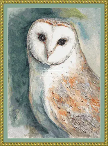 The Cross Stitch Studio Watercolour Barn Owl printed cross stitch chart