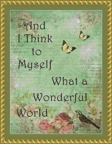 The Cross Stitch Studio What a Wonderful World printed cross stitch chart
