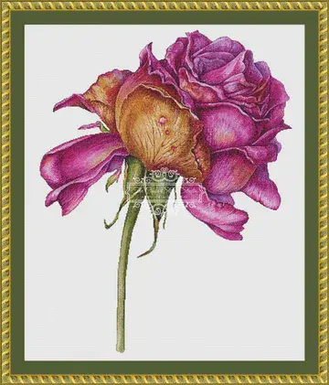The Cross Stitch Studio Withering Purple Rose printed cross stitch chart