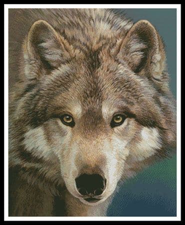 The Eyes of a Hunter by Artecy printed cross stitch chart