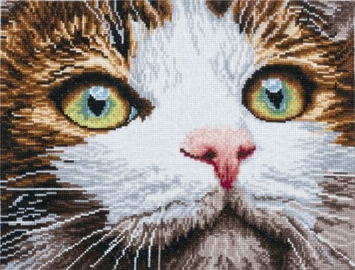 Whiskers cross stitch kit