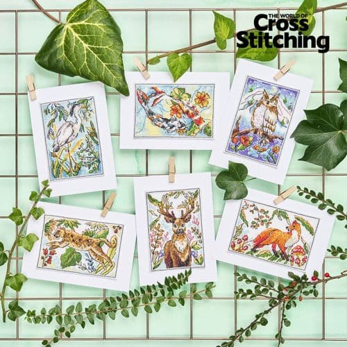 Wild Wonders Animal Postcards WOXS Issue 371 project pack