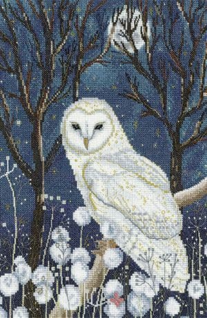 Spirit Guide cross stitch kit - Elaine Serenum Art