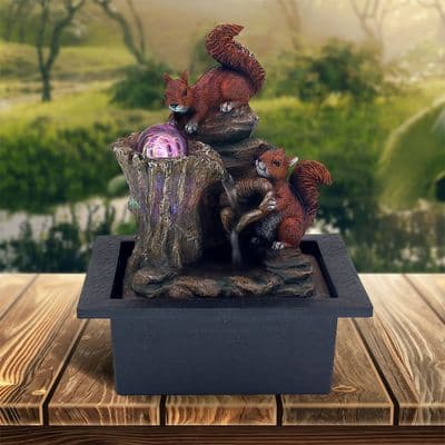 Squirrel Indoor Water Feature LED Ball Spinner