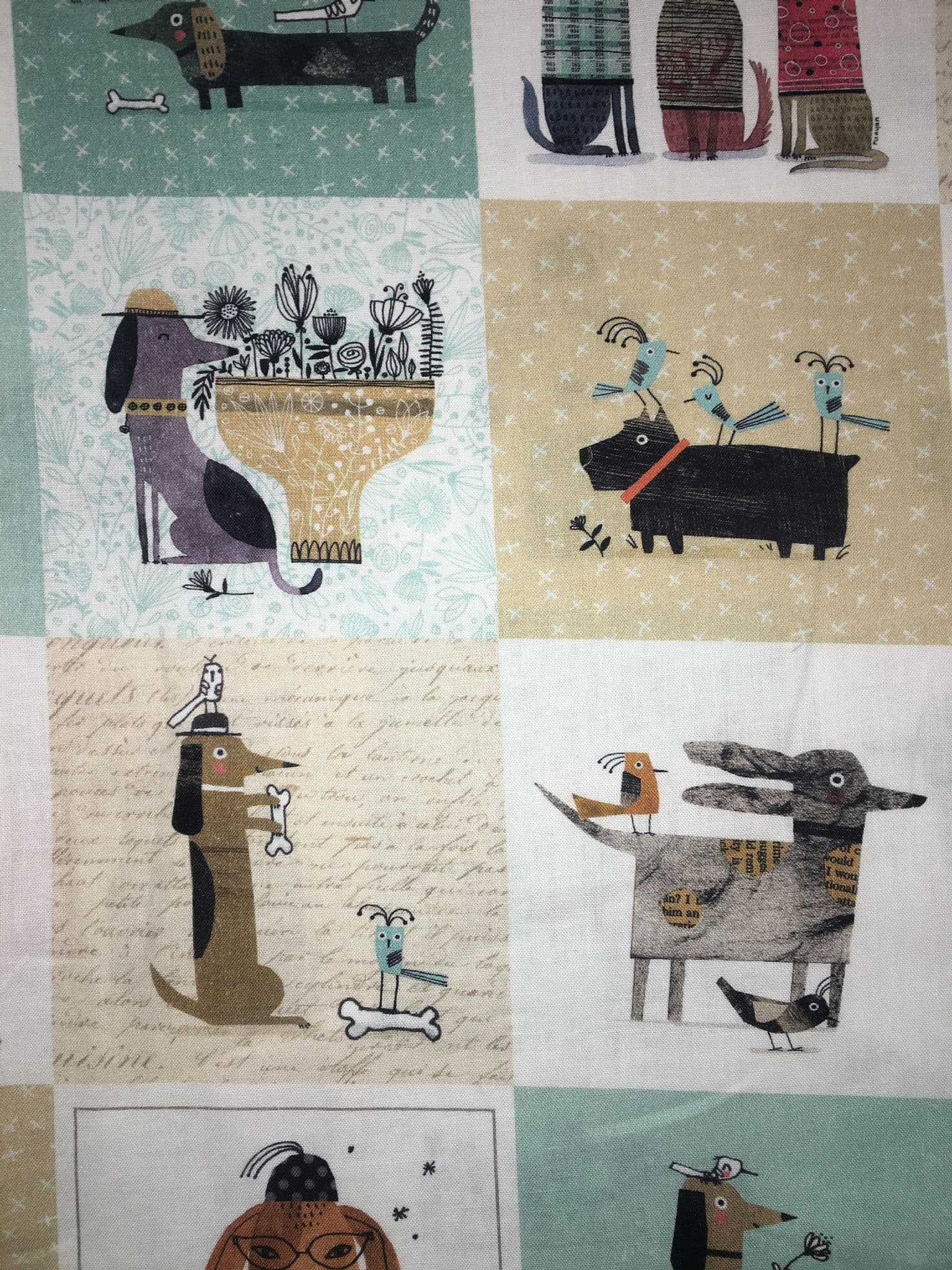 CONTEMPO S It s Raining Cats and Dogs by Terry Runyan for