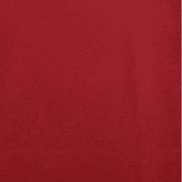 Double Sided Red Plain Polyester Viscose Wool Cloth