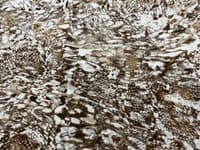 Polyester Bubble Crepe Dress Fabric -  Snakeskin Animal Prints Various