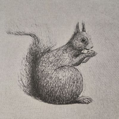 Squirrel Cushion  Panel Cotton Linen Fabric  - Black on Natural