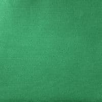 Taskmaster Kelly Green Polycotton