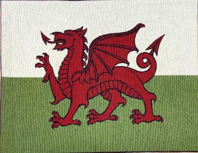 Wales Flag Panel Large - Cotton Mix Tapestry Fabric