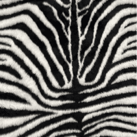 Zebra Faux Fur