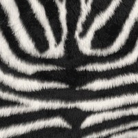 Zebra Faux Fur