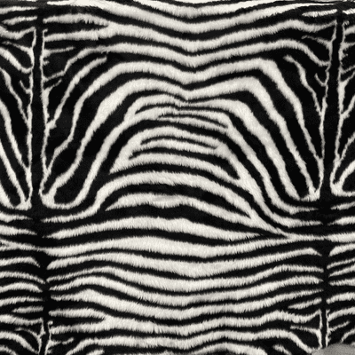 Zebra Faux Fur