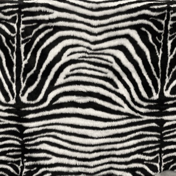 Zebra Faux Fur