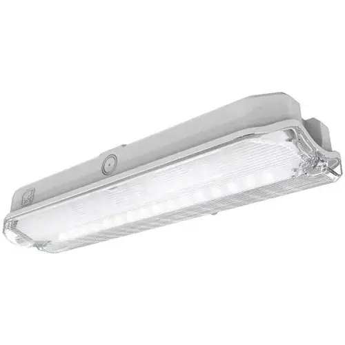 Ansell Guardian bulkhead maintained/ non maintained white