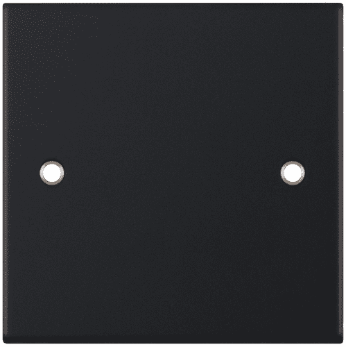 Selectric Matt black 1 Gang Blanking Plate